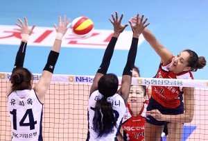 Joycinha ganhou uma nova chance na seleção recentemente (<br />Foto: Divulgação) ” width=”300″ height=”203″ /></a> Joycinha ganhou uma nova chance na seleção recentemente (<br />Foto: Divulgação)</p>
<p>Depois de uma temporada na Coreia do Sul, a ponteira brasileira <strong>Joycinha</strong> decidiu adicionar um novo país ao seu currículo: a Turquia. Nesta quinta-feira (21), a atleta foi oficializada como nova jogadora do Bursa Metropolitan Club.</div>
<div></div>
<div>No recém-encerrado campeonato do país, o Bursa terminou na quinta posição, atrás dos gigantes Fenerbahce, Vakifbank, Eczacibasi e Galatasaray.</div>
<div></div>
<div>Ex-jogadora do Minas, Pinheiros, Rexona e Vôlei Futuro, Joycinha também já atuou pelo Fakel, da Rússia, entre 2012 e 2013. Aos 30 anos, a atleta de Guarulhos recentemente ganhou uma nova chance na seleção brasileira e está treinando em Saquarema.</div>
<div></div>
<div>Vale lembrar que nos próximos meses o time nacional não contará com <strong>Sheilla</strong>, dispensada para descansar, e com <strong>Tandara</strong>, que está grávida. Com isso, a paulista poderá mostrar seu trabalho de olho em uma convocação para a Olimpíada de 2016, no Rio.</div>
<div class=